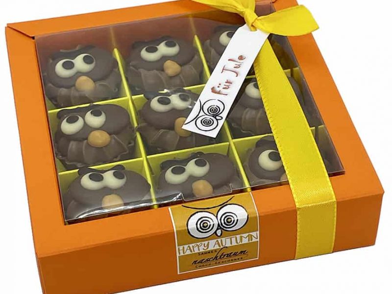 9 Eulen Cupcakes aus gefüllter Schokolade in Geschenkbox