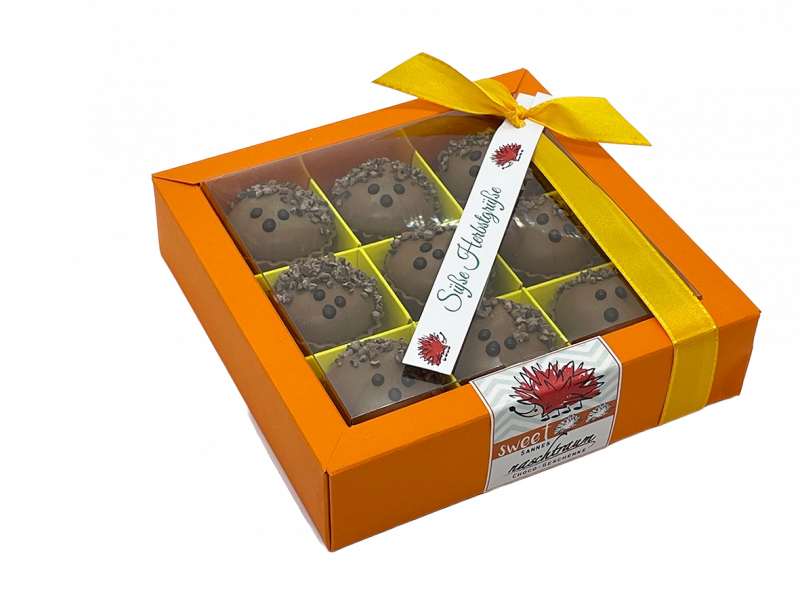 9 Igel Cupcakes in Geschenkbox