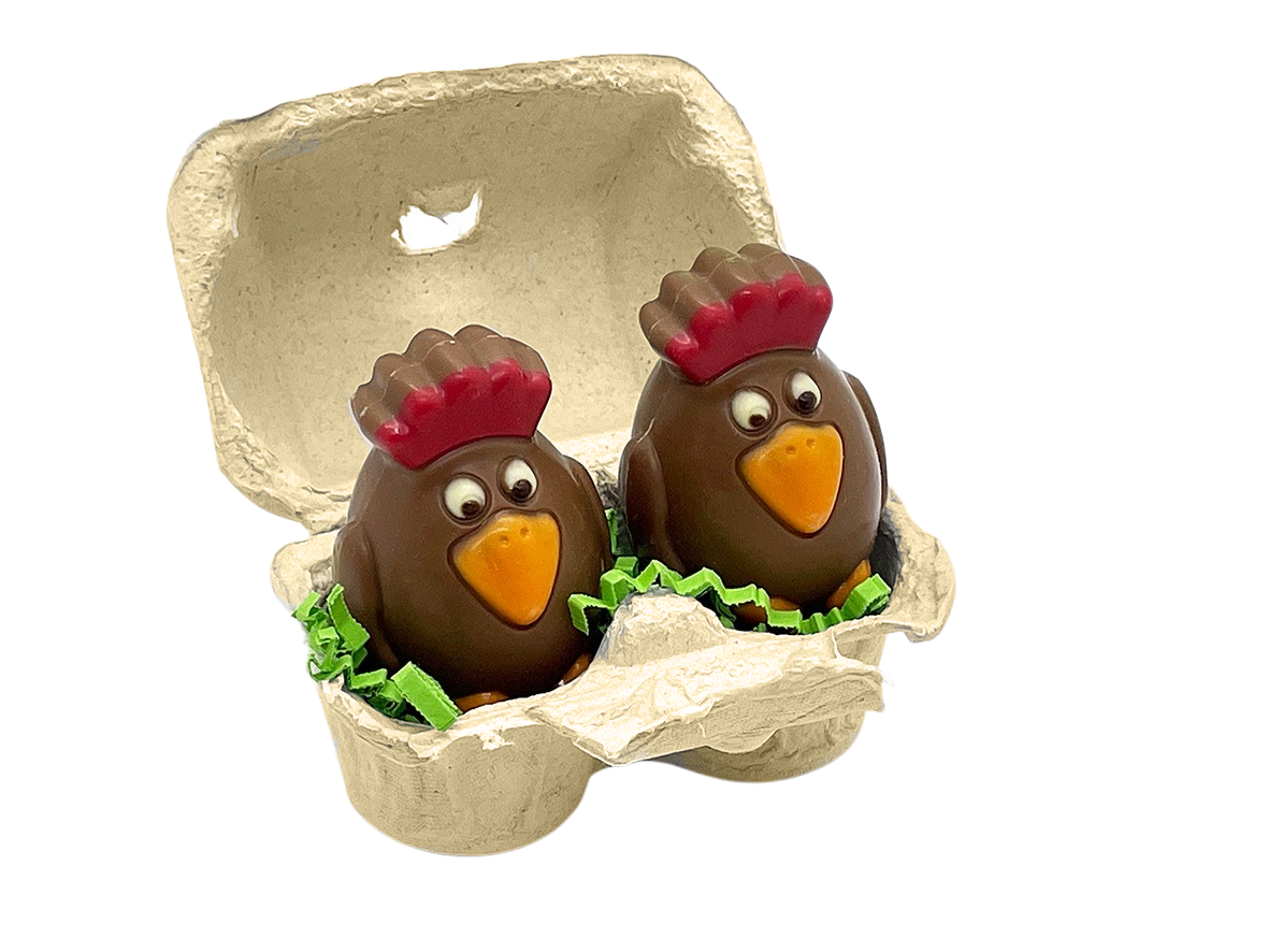 2 Hühner in Eierverpackung